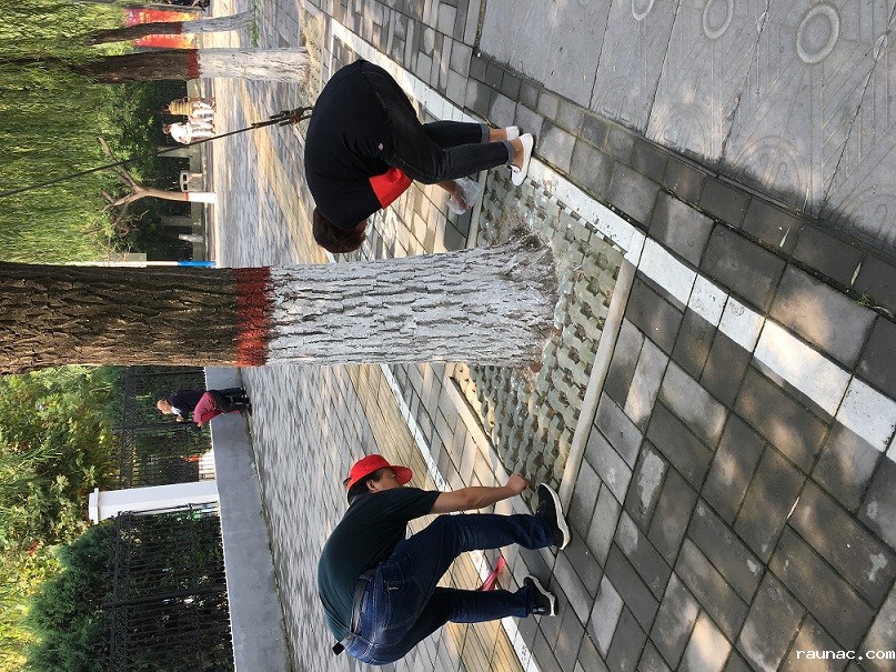 1569286333103108.jpg 4.jpg