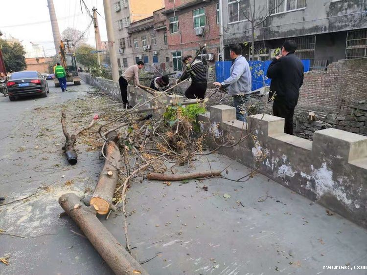 1576205694134375.jpg 1576205694134375.jpg