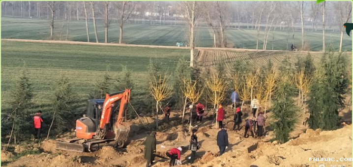 1613785698498206.png image.png