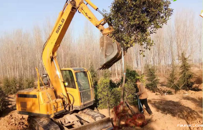 1613785731191014.png image.png