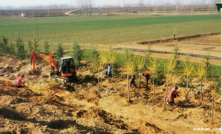 1613785752699064.png image.png