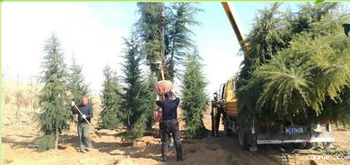 1613785783761392.png image.png