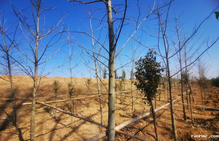 1613786539498751.png image.png