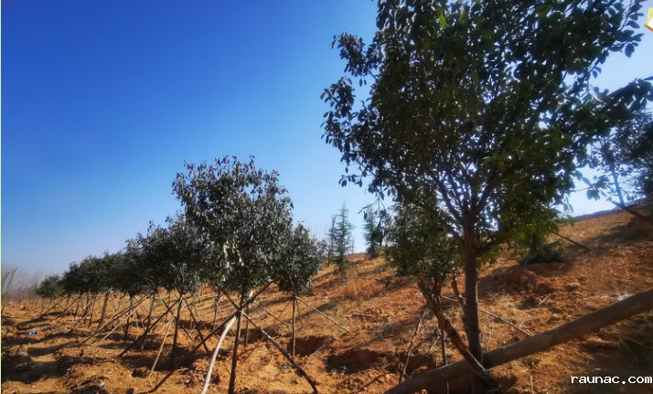 1613786582663211.png image.png