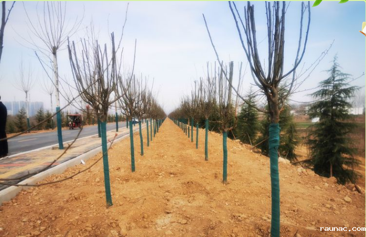 1613786635805132.png image.png