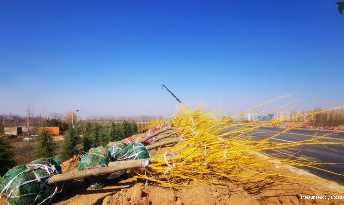 1613786687943398.png image.png