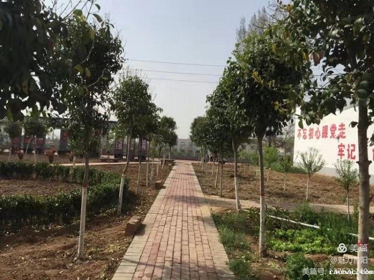 1617070873236338.jpg 微信图片_20210330101946.jpg