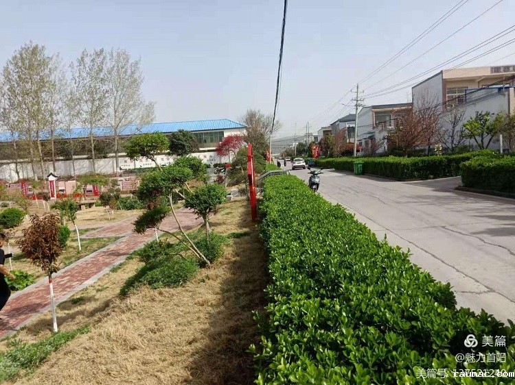 1617071314118126.jpg 微信图片_20210330102647.jpg