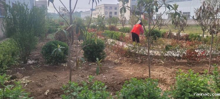 1652149073450115.jpg 1652149073450115.jpg