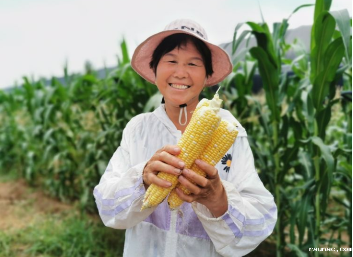 1659158738218427.png image.png