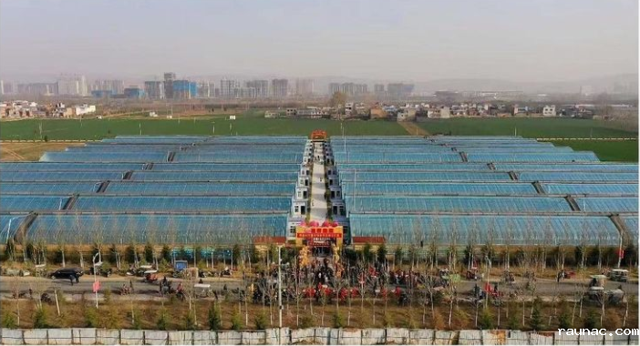 1659158842425530.png image.png