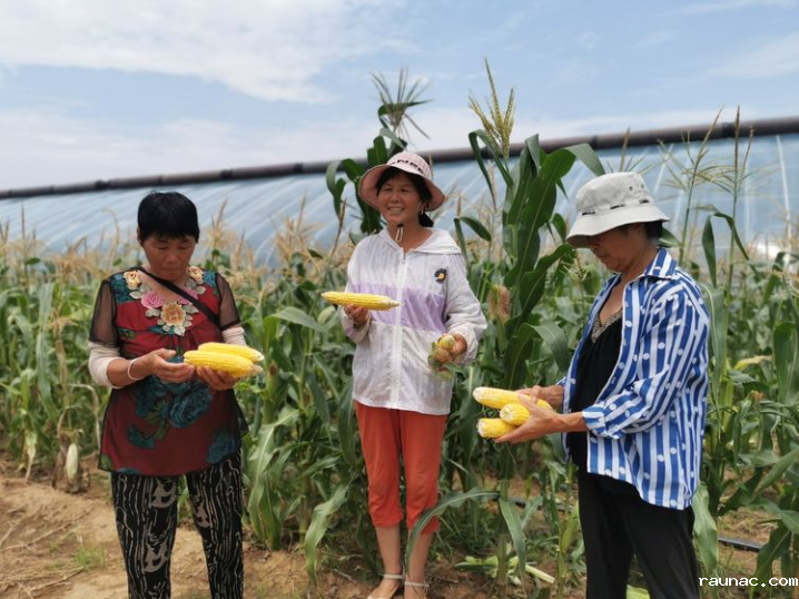 1659158998260466.png image.png