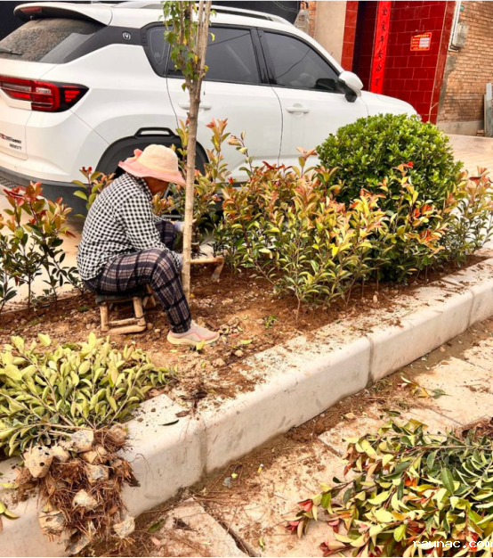 1662627377314925.png image.png