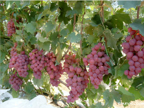 1701312105584255.png 微信图片_20231130092557.png