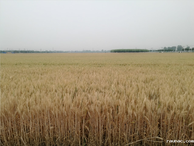 1701312150714709.png 微信图片_20231130092632.png