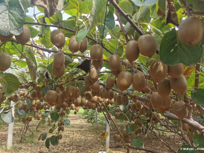 1701312249542966.png 微信图片_20231130092718.png