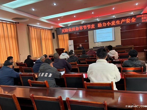 1732265216442715.jpg 图片2.jpg