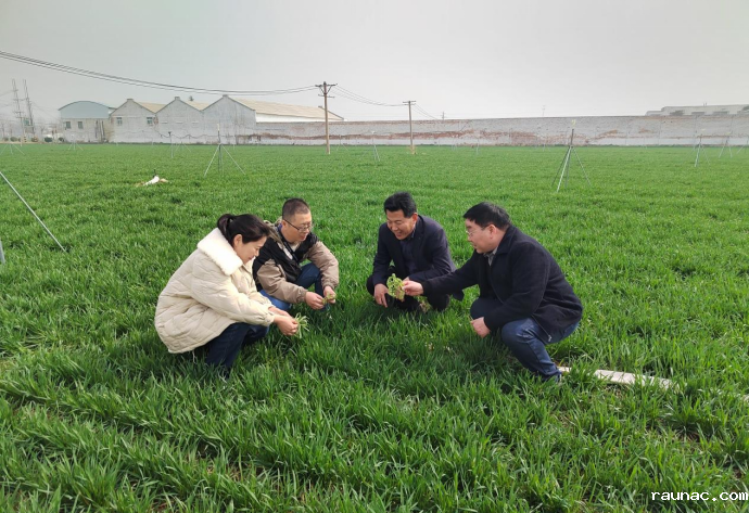 1741771356587275.png image.png