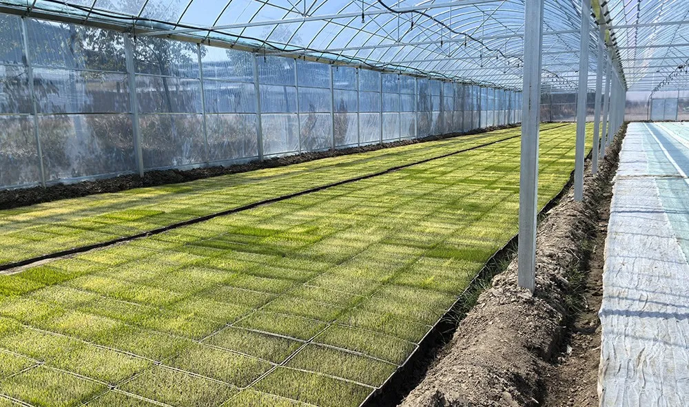 1743556930969835.jpg 640.jpg