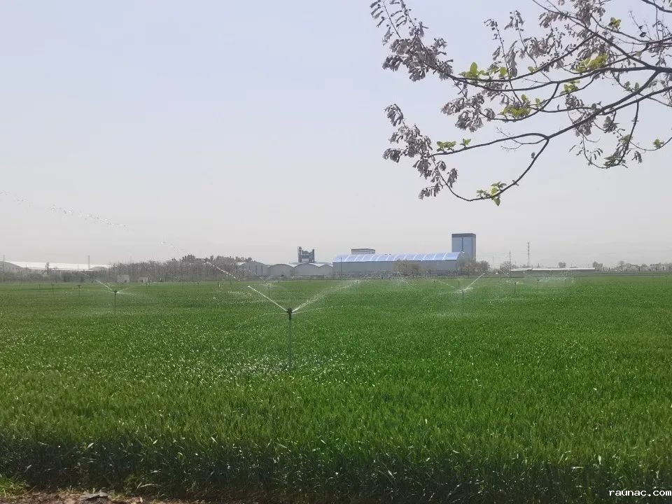 1745201961386630.jpg 微信图片_20250421101904.jpg