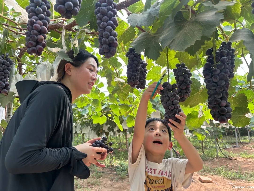 1752630272157419.jpeg 640.jpeg