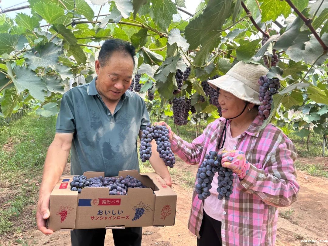 1752630592884975.jpeg 640.jpeg