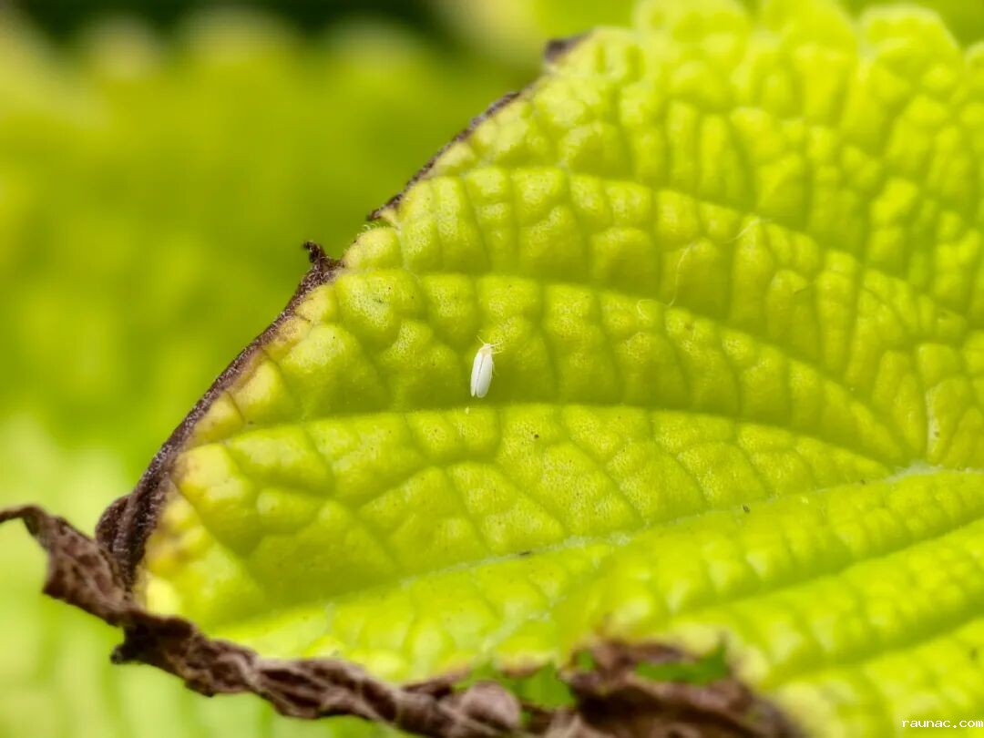 1758183865601923.jpg 640.jpg