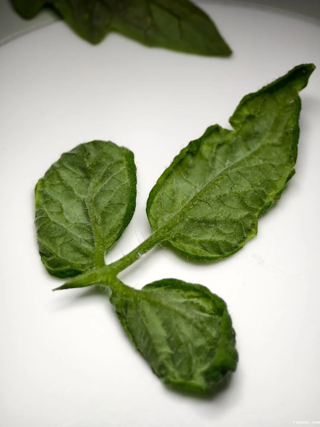 1758183916569966.jpg 640.jpg