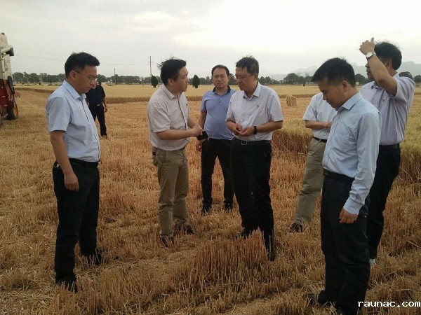 微信图片_20190604174454 - 副本.jpg