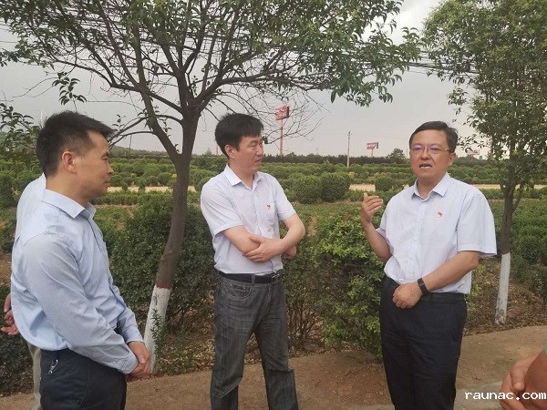 微信图片_20190604085650 - 副本.jpg