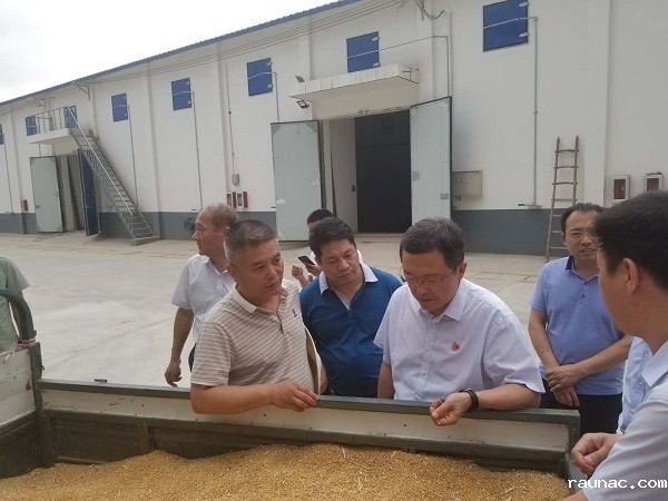 微信图片_20190604085655 - 副本.jpg