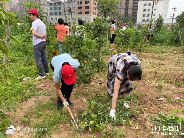 一言一行总关情 携手共创文明城2.jpg